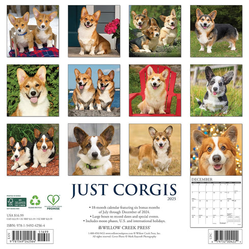 CORGIS 2025 WALL CALENDAR - WILLOW CREEK PRESS