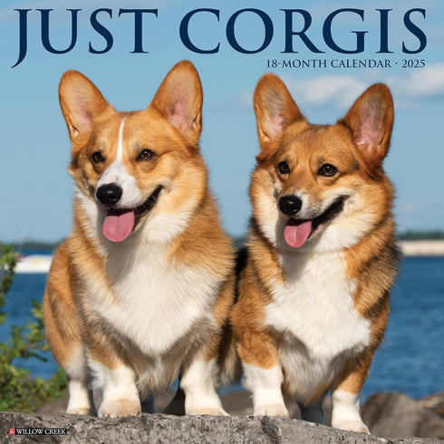 CORGIS 2025 WALL CALENDAR - WILLOW CREEK PRESS