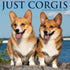 CORGIS 2025 WALL CALENDAR - WILLOW CREEK PRESS