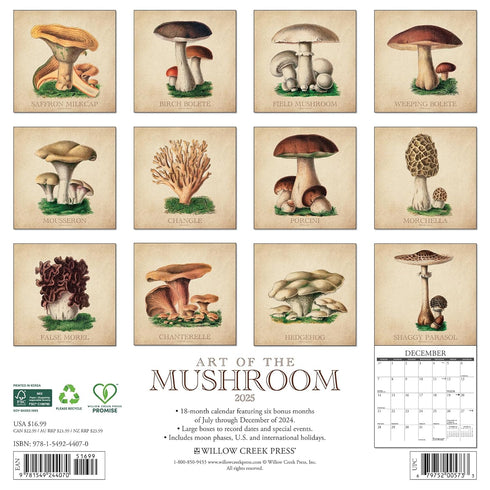 ART OF THE MUSHROOM 2025 WALL CALENDAR - WILLOW CREEK PRESS