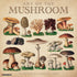 ART OF THE MUSHROOM 2025 WALL CALENDAR - WILLOW CREEK PRESS