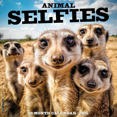 ANIMAL SELFIES 2025 WALL CALENDAR - WILLOW CREEK PRESS