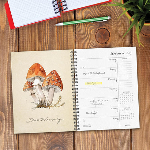 ART OF THE MUSHROOM 2025 ENGAGEMENT CALENDAR - WILLOW CREEK PRESS