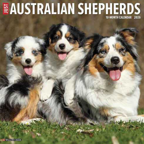 2026 AUSTRALIAN SHEPHERDS WALL CALENDAR