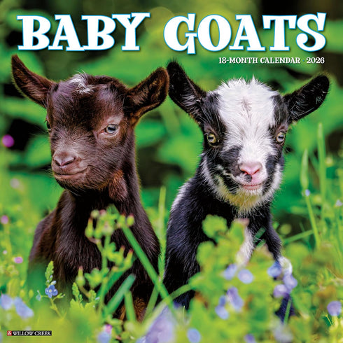 2026 BABY GOATS WALL CALENDAR