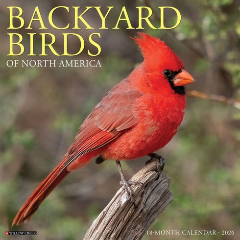 2026 BACKYARD BIRDS OF NORTH AMERICA WALL CALENDAR