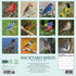 2026 BACKYARD BIRDS OF NORTH AMERICA WALL CALENDAR
