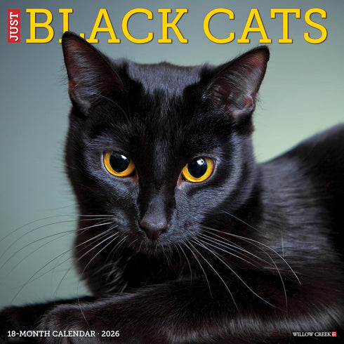 2026 BLACK CATS WALL CALENDAR