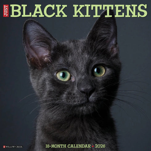 2026 BLACK KITTENS WALL CALENDAR