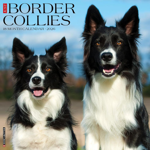 2026 BORDER COLLIES WALL CALENDAR