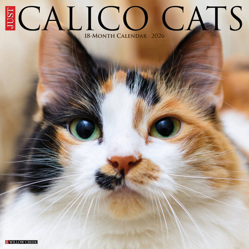 2026 CALICO CATS WALL CALENDAR