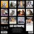2026 CAT-ASTROPHE WALL CALENDAR