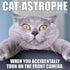 2026 CAT-ASTROPHE WALL CALENDAR