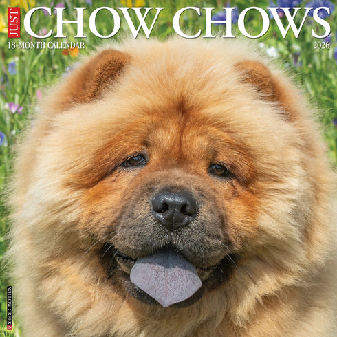 2026 CHOW CHOWS WALL CALENDAR