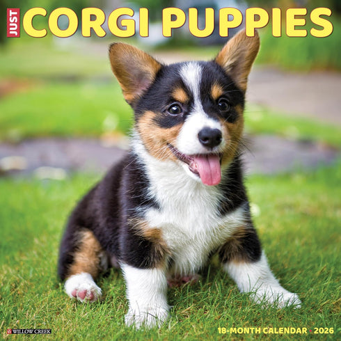 2026 CORGI PUPPIES WALL CALENDAR