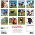 2026 COWS WALL CALENDAR
