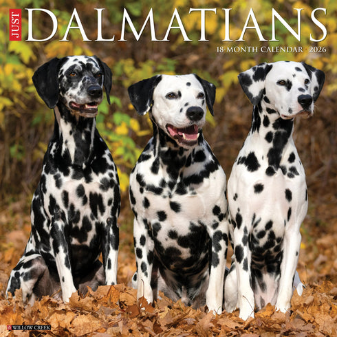 2026 DALMATIANS WALL CALENDAR