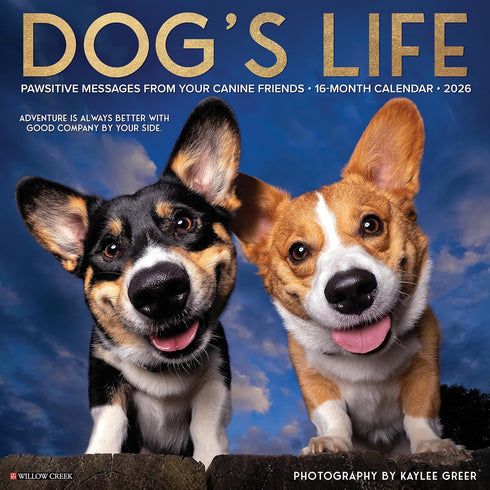 2026 DOG'S LIFE WALL CALENDAR