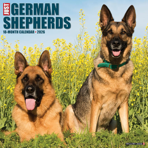2026 JUST GERMAN SHEPHERDS 12X12 WALL CALENDAR