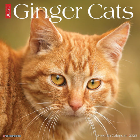 2026 GINGER CATS WALL CALENDAR