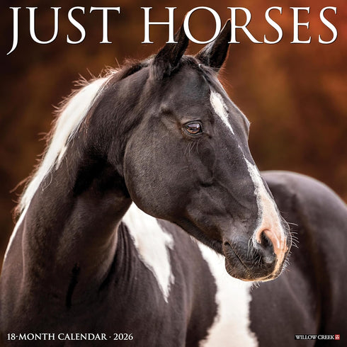 2026 HORSES WALL CALENDAR