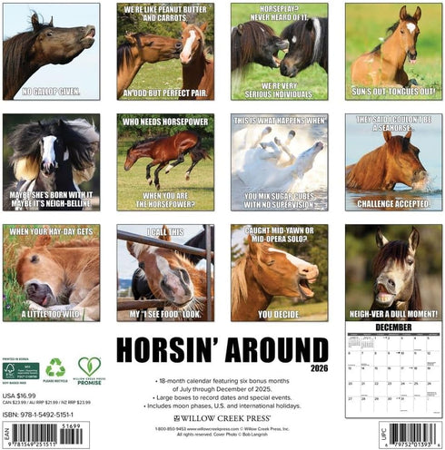 2026 HORSIN’ AROUND WALL CALENDAR