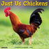 2026 JUST US CHICKENS WALL CALENDAR