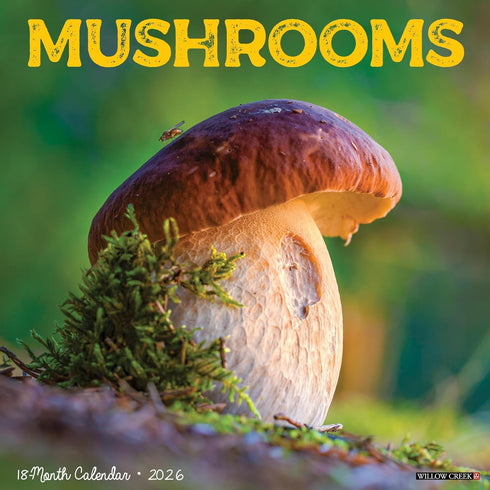 2026 MUSHROOMS WALL CALENDAR