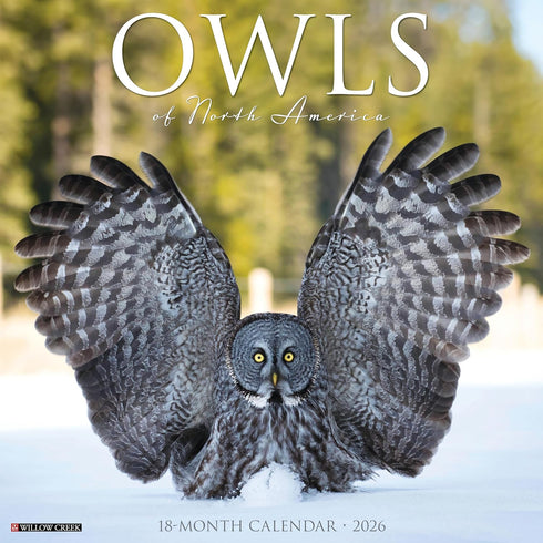2026 OWLS OF NORTH AMERICA WALL CALENDAR