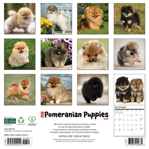 2026 POMERANIAN PUPPIES WALL CALENDAR