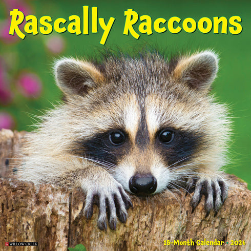2026 RASCALLY RACCOONS WALL CALENDAR
