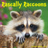 2026 RASCALLY RACCOONS WALL CALENDAR