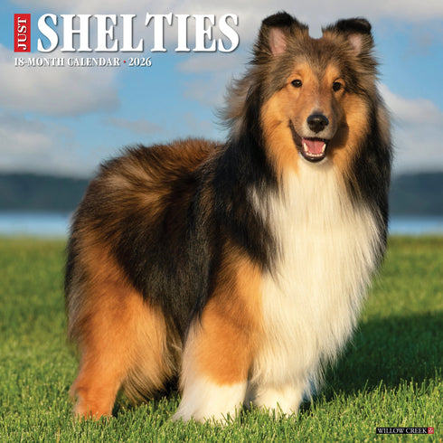 2026 SHELTIES WALL CALENDAR