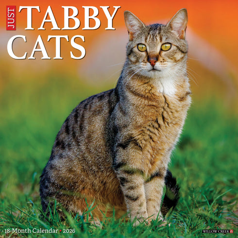 2026 TABBY CATS WALL CALENDAR