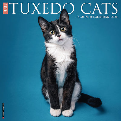 2026 TUXEDO CATS WALL CALENDAR