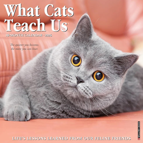 2026 WHAT CATS TEACH US WALL CALENDAR