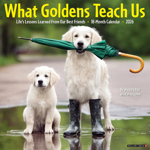 2026 WHAT GOLDENS TEACH US WALL CALENDAR