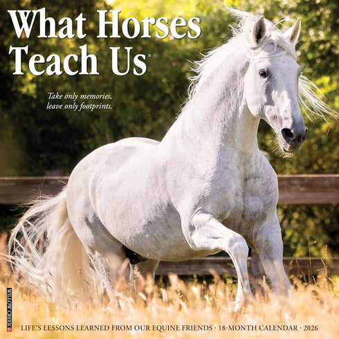 2026 WHAT HORSES TEACH US WALL CALENDAR