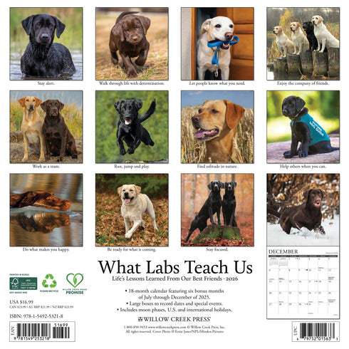 2026 WHAT LABS TEACH US WALL CALENDAR