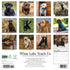 2026 WHAT LABS TEACH US WALL CALENDAR