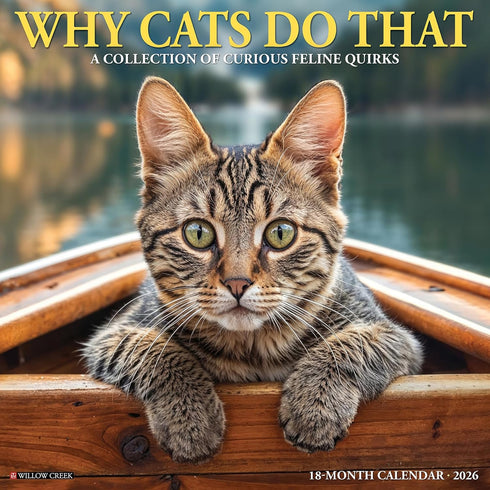 2026 WHY CATS DO THAT WALL CALENDAR