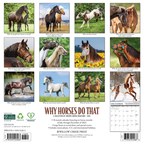 2026 WHY HORSES DO THAT WALL CALENDAR