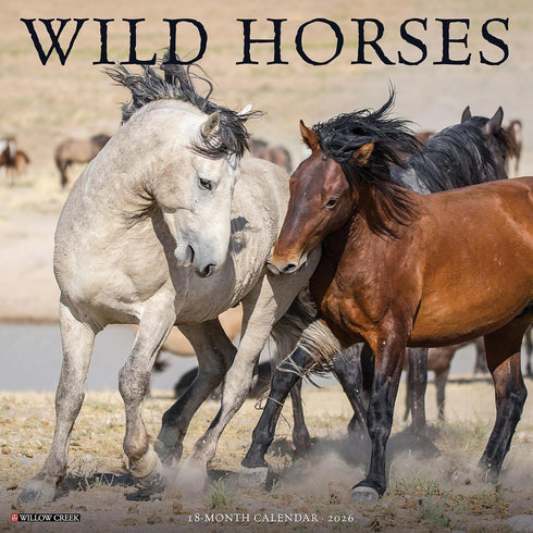 2026 WILD HORSES WALL CALENDAR