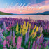 2026 WILDFLOWERS WALL CALENDAR