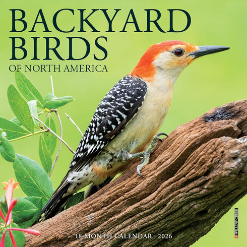 2026 BACKYARD BIRDS OF NORTH AMERICA 7X7 MINI WALL CALENDAR