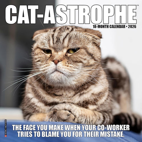 2026 CAT-ASTROPHE 7X7 MINI WALL CALENDAR