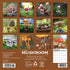 2026 MUSHROOMS 7X7 MINI WALL CALENDAR