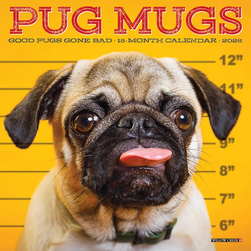 2026 PUG MUGS 7X7 MINI WALL CALENDAR