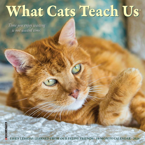2026 WHAT CATS TEACH US 7X7 MINI WALL CALENDAR