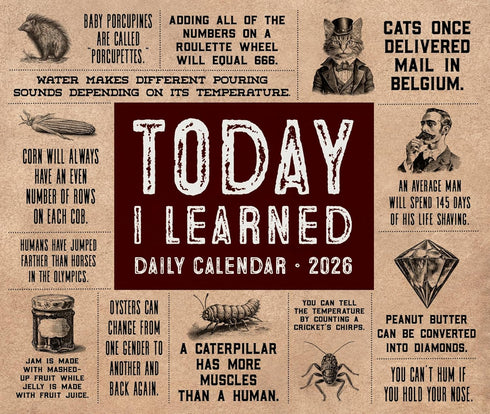 2026 TODAY I LEARNED (TIL) DAILY BOXED CALENDAR